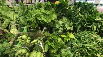 Giá rau củ quả hôm nay 14/10: Nhiều ưu đãi ngập tràn