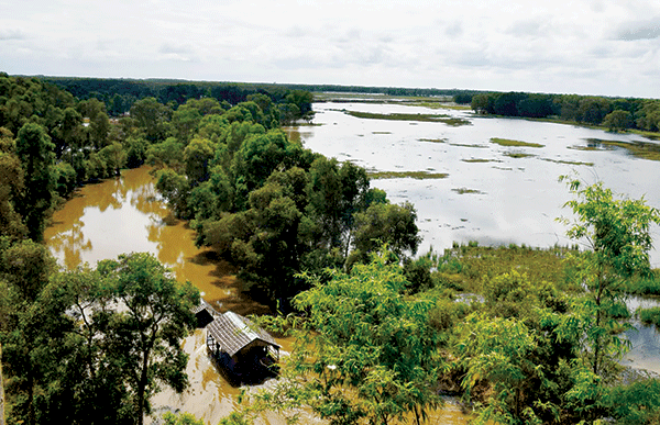 Mực nước về Đồng bằng sông Cửu Long thấp nhất  trong 10 năm qua (ảnh minh họa)