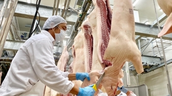 Giá thịt lợn hôm nay 15/10: Đà giảm chững lại