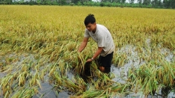 Cà Mau: Khẩn trương rà soát các phương án, sẵn sàng ứng phó thiên tai