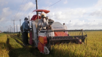 Trà Vinh: Triển khai các giải pháp bù đắp giá trị sụt giảm trong sản xuất nông nghiệp