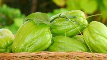 Giá rau củ quả hôm nay 16/10: Tiếp tục tung nhiều khuyến mãi