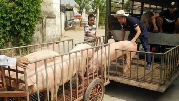 Giá thịt lợn hôm nay 17/10: Tăng giảm trái chiều