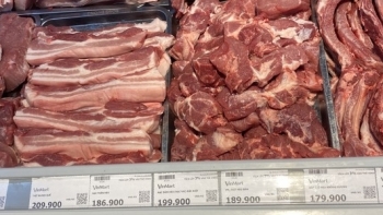 Giá thịt lợn hôm nay 17/10: Thị trường ổn định