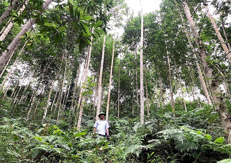 Tuyên Quang đã ban hành kế hoạch dài hạn ứng phó với biến đổi khí hậu