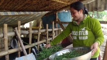 Cà Mau: Triển khai thực hiện hiệu quả công tác giảm nghèo