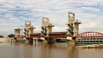 An Giang: Vận hành công trình điều tiết lũ vùng Tứ Giác Long Xuyên