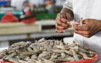 9 tháng, Việt Nam nhập khẩu thủy sản nhiều nhất từ Ấn Độ