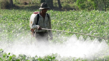 Hà Nội: Xử lý nghiêm buôn lậu, sản xuất, kinh doanh phân bón, thuốc bảo vệ thực vật giả