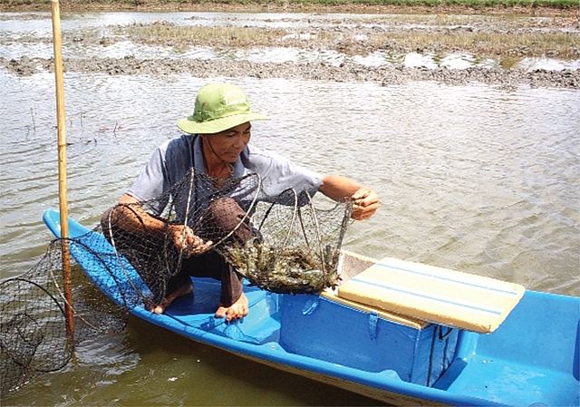 Thủy sản tiếp tục khẳng định vai trò là ngành kinh tế mũi nhọn của tỉnh