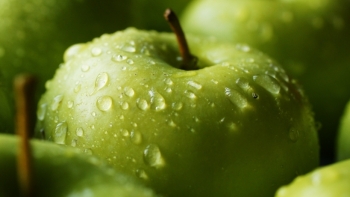 Giá rau củ quả hôm nay 22/10: Tăng cường nhiều ưu đãi hấp dẫn