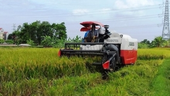 Long An: Hỗ trợ 12.000 nông hộ sản xuất nhỏ phòng, chống hạn mặn và đại dịch Covid-19