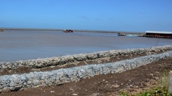 Cà Mau: Ban bố tình huống khẩn cấp sạt lở đê biển Tây