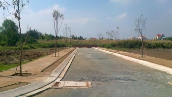 Cần Thơ: Đẩy mạnh công tác quản lý quy hoạch, kế hoạch sử dụng đất