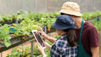 Việt Nam và New Zealand tăng cường hợp tác trên lĩnh vực nông nghiệp