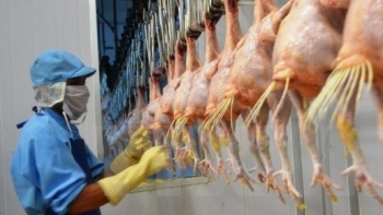 Hà Nội: Xử phạt hơn 134,8 tỷ đồng vi phạm an toàn thực phẩm