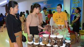 Cà Mau: Khai mạc “Chợ phiên khởi nghiệp”