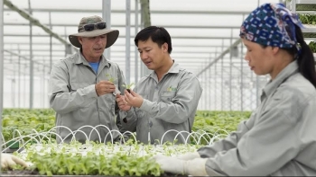 Năm 2030, cả nước phấn đấu có trên 5.000 hợp tác xã ứng dụng công nghệ cao