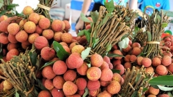 9 tháng, xuất khẩu hàng hóa sang thị trường Nhật Bản đạt hơn 14 tỷ USD