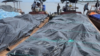 Tăng cường phòng chống, xử lý nghiêm buôn lậu thuốc lá