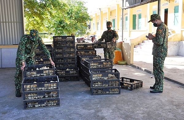 Quảng Ninh thu giữ gần 11.000 con gà giống nhập lậu Quảng Ninh thu giữ gần 11.000 con gà giống nhập lậu