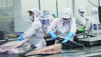 Còn nhiều cơ hội để xuất khẩu cá ngừ sang thị trường Ai Cập