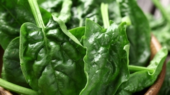 Giá rau củ quả hôm nay 26/10: Đầu tuần, đa dạng khuyến mãi