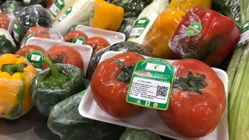 Giá rau củ quả hôm nay 28/10: Các siêu thị tiếp tục có nhiều chương trình khuyến mãi