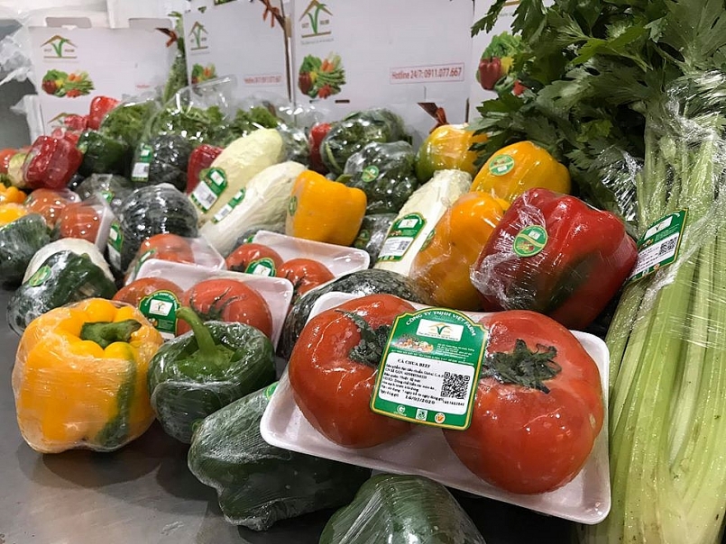 Các siêu thị tiếp tục có nhiều chương trình khuyến mãi đối với mặt hàng rau củ quả và sữa các loại