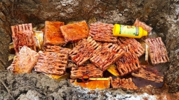 Nghệ An: Phát hiện, tiêu hủy 60 kg chân gà rút xương không rõ nguồn gốc xuất xứ