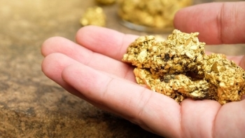 Cập nhật giá vàng hôm nay 29/10: Giảm mạnh