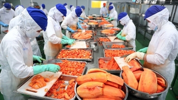 Kim ngạch xuất khẩu hàng hóa đạt trên 229 tỷ USD trong 10 tháng