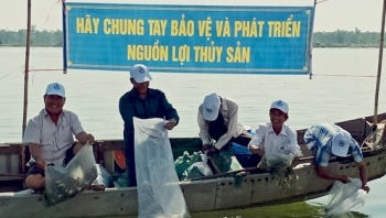 Đồng Tháp: Tăng cường xử lý vi phạm về đánh bắt thủy sản trái phép
