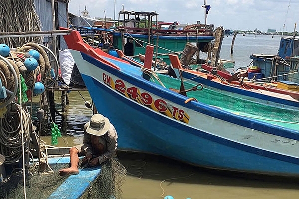 Cà Mau tăng cường tuần tra, kiểm soát, tuyên truyền nâng cao hiệu quả chống khai thác IUU