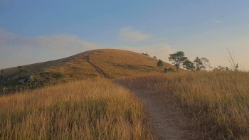 Du lịch Quảng Ninh: Đắm say Bình Hương mùa cỏ cháy