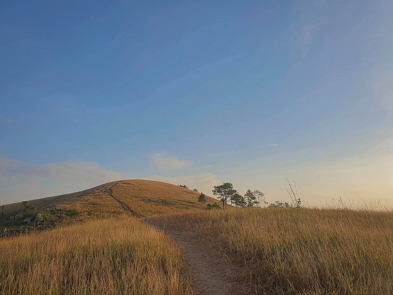 Đỉnh Bình Hương thuộc phường Vàng Danh - Uông Bí - Quảng Ninh là một địa điểm khá mới Có góc như Hà Giang, lại có góc như Đà Lạt