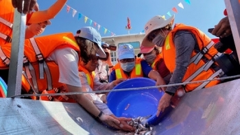 An Giang: Thả gần 19 tấn cá giống xuống sông Vàm Nao nhằm tái tạo nguồn lợi thủy sản