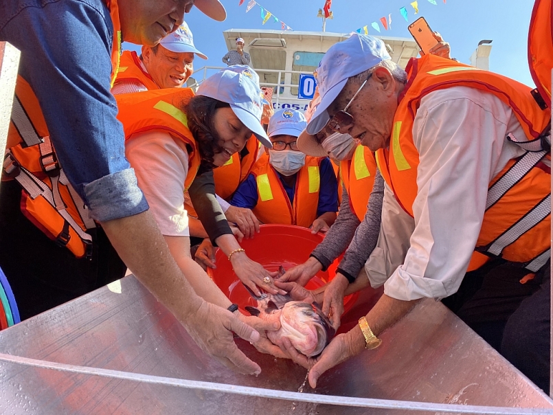 Tỉnh An Giang thả gần 19 tấn cá giống xuống sông nhằm tái tạo nguồn lợi thủy sản Tỉnh An Giang thả gần 19 tấn cá giống xuống sông nhằm tái tạo nguồn lợi thủy sản