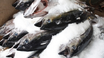 Bộ NN&PTNT xác nhận thủy sản đông lạnh là sản phẩm chế biến