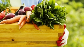 Các địa phương từng bước hướng đến nông nghiệp hữu cơ và đạt hữu cơ