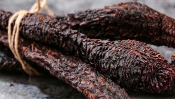 Thuốc Đông y: Đặc điểm dược liệu và công dụng đối với sức khỏe của Nhục thung dung