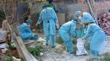 Quảng Ninh: Tích cực ngăn chặn dịch tả lợn châu Phi tái phát