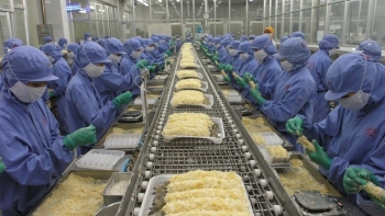 Tôm Việt Nam sẽ phải cạnh tranh nhiều hơn với tôm Ấn Độ tại thị trường Nhật Bản