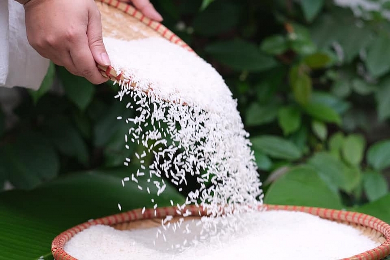 Gạo ST25 tiếp tục giữ vững danh hiệu gạo ngon nhất Việt Nam