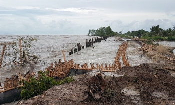 Kiên Giang: Chủ động ứng phó với triều cường