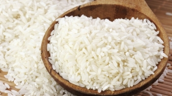 Cập nhật giá gạo hôm nay 6/11: Phiên chiều ổn định