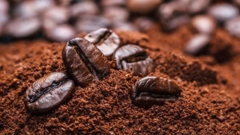 Cà Mau: Sức hút mạnh mẽ từ chương trình cà phê kết nối doanh nghiệp