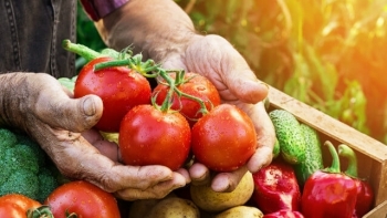 Giá rau củ quả hôm nay 9/11: Đa dạng khuyến mãi đầu tuần