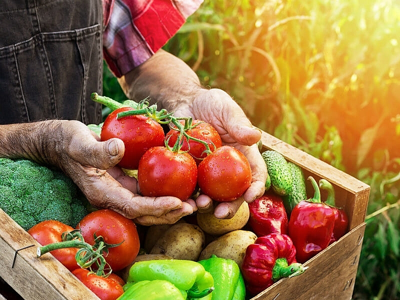 Giá rau củ quả hôm nay 9/11 đa dạng khuyến mãi đầu tuần