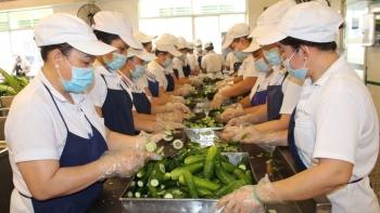 Bảo đảm ATTP, phòng chống ngộ độc tại các khu công nghiệp, khu chế xuất, trường học